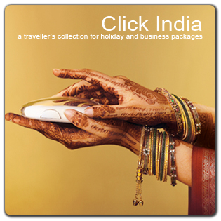 India Travel Brochure