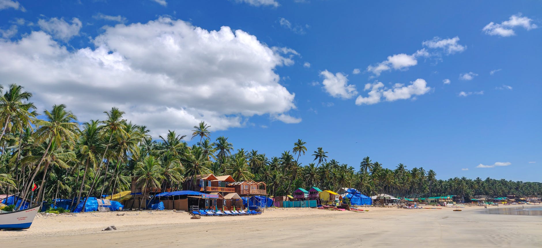 Palolem Beach, Goa — crescent palm-lined bay