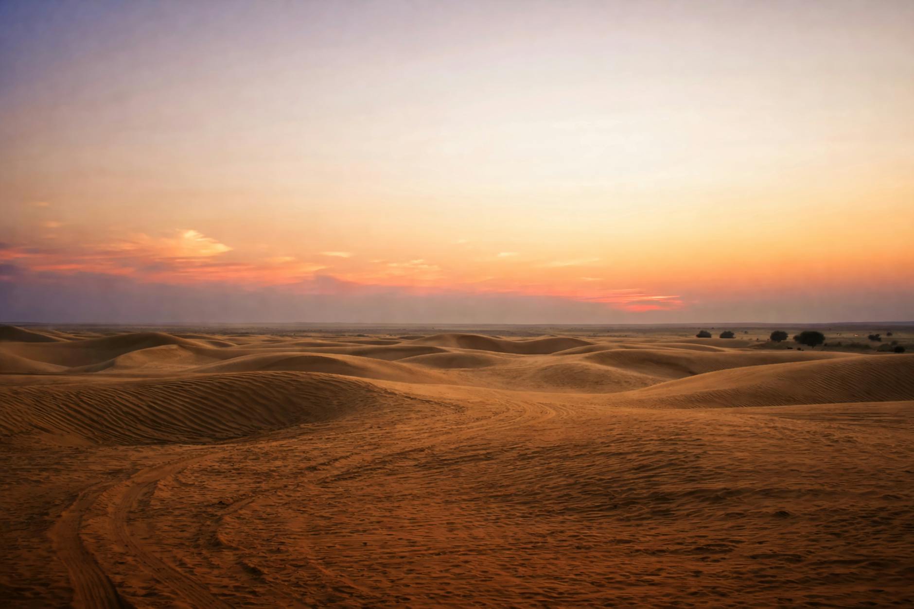 Thar Desert, Rajasthan — camels and golden dunes near Jaisalmer